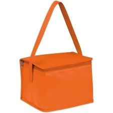 Non woven cooler bag for 6 cans 330 ml NIEBY