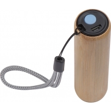 Flashlight DUNDEE