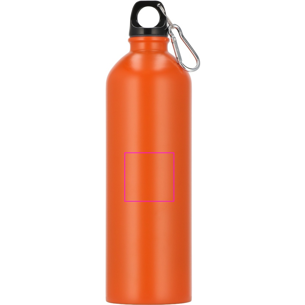 Stainless steel drinking bottle Ostrov 750 ml