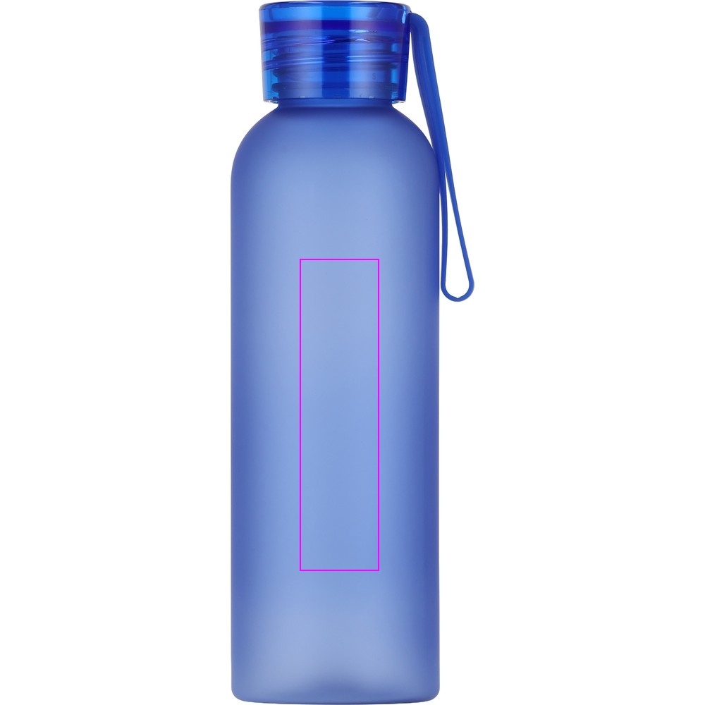 Water bottle READING 550 ml