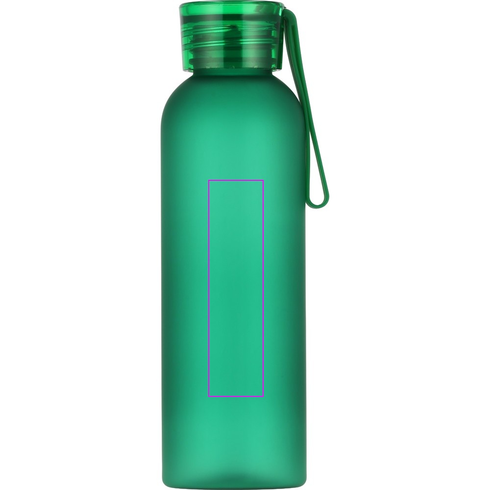 Water bottle READING 550 ml