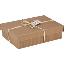 Medium cardboard box